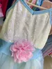 Çocuk Bale Kostümleri Toptan Fabrikası Özel Kızlar Dans kıyafeti payetleri Egzersiz Performans Giyim Kid için Tutu Tekrar Üzerinde Diz Giyim