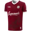 2021 2022 2023 Kilkenny Wexford GAA voetbalshirt Offaly Tyrone Remastered Herdenking 1961 jubileum voetbalshirt Tipperary