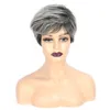 New Fashion Women's Short mix gary Cosplay Hair Wig