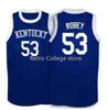 SJZL98 # 53 ريك روبي كنتاكي Wildcats كرة السلة الفانيلة الأزرق الأبيض التطريز مخيط شخصية مخصص أي حجم واسم جيرسي