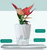 Self watering plant pot Kraflo garden Automatic Water Self-Watering Planter small the lazy watering- plastic flower pot