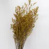 Couronnes de fleurs décoratives 120-140g amoureux herbe naturelle fraîche séchée conservée vraie branche de fleur pour toujours pour la décoration intérieure Bouquet décoratif