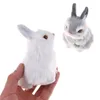 Sevimli Yapay Hayvan Küçük Tavşan Peluş Bir Çerçeve Doğum Günü Hediyesi Çocuk Oyuncaklar Dekorasyonlar Simülasyon Mini Cep Oyuncak 220711