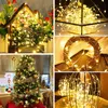 Dizeler 5m 10m 100 LEDS PERYİ LIGHT STARRY STRING USB Işıklar Mikro LED Şeffaf Tel Parti Noel Düğünü 6 Rolesled