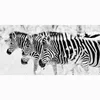 Towel Man Bath Shower Drying Zebra Pattern Bamboo Fiber Bathroom Outdoor Travel Sport Beach Towels 70*140cm