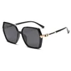 Sunglasses TR90 Polarized European And American Fashion Ladies Trend Retro Men's Driving SunglassesSunglasses