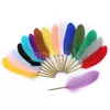 Party Favorit Retro Feather Ball Pen Studentpris Presentfjädrar Pennor Novell BallPoint Quill Tillbaka till skolbrevet