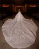 Luxury Wedding Dresses Ball Gown Long Sleeve Big Train Tulle Lace Crystal Beaded Diamonds Vintage Bridal Gown Custom Size UPS