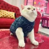 Navy Sweater Pet Sweater Apches pour chiens Fashion Tricot schnauzer Pulls à tendance