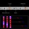 Remsor LED 12V växtljusremsa 60LEDS/m vattentät för växter odlar fyto lampa växthushydroponic planterad