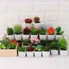 Decorative Flowers & Wreaths Mini Cute Bonsai Potted Green Plants Artificial With Pot Simulation Succulents Table Decoration Home Office Dec