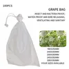 Clephan 100 st väskor nät för vegetabiliska druvor fruktskydd Växa från OS -nät mot insektsskadedjursbekämpning Home Garden 220714