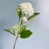 Couronnes de Fleurs décoratives belle branche de fruit de haricot de baie artificielle avec des feuilles fausses plantes pour la décoration de la maison Flores Fleurs Artifici