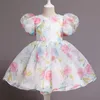 Elegante Mädchen Blume Puff Sleeve Kleider Für Hochzeiten Kinder Formale Geburtstag Party Fee Prinzessin Tuch Kinder Tüll Vestidos 220707