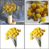 Decorative Flowers Wreaths 20Pcs Craspedia Billy Ball Natural Dried Bouqet Arrangement In Vase Preserved For Decoration Wedding Home Drop