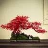 Dekoracyjne kwiaty wystrój domu symulowany wita sosna bonsai weranda dekoracja salonu w pomieszczenia pseudopted zielona rośliny ozdoby tabletopa