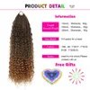 Goddess Box Braids Crochet Hair Fake Braid River Loc Bohomian Prelooped Synthetic Curly African Extensions Expo City 220610