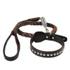 Hundhalsar Leashes Pet Collar and Leash Ställ in läder justerbar för medelstora kohuden Spring Design Luxury Accessories Dog