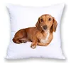 Kissen/dekoratives Kissen -Cartoon Dackel Hundekissenbedeckung süßes Tiermuster weiß weiche Polyester Kissenbezug 45x45 cm Home Sofa Dekorati