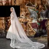 Brautschleier V110 Langer Schleier der Braut Amanda Novias Cathedral mit floralem französischem Spitzenbesatz zum Einfassen in LaceBridal