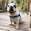 Dog Collars & Leashes Arrived Small Medium Large Harness Leash Set Reflective Lead Harnesses For Dogs Pet Pitbull Buldog Breast-bandDog