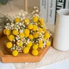 1 set natuurlijke gedroogde gypsophila eucalyptus gouden bal echt bewaard gebleven droge bloem voor thuis bruiloft decoratie accessoires