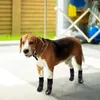 Abbigliamento per cani cinturino regolabile inverno caldo esterno impermeabile calzini antiscivolo antiscivolo scarpe per animali domestici piccole e grandi scarpe di cotonecane