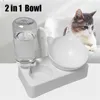 Pet Bowl Automatisk matare Hundkattmat med vattendispenser Dubbeldryck Raised Stand Dish s Comedero Gato 220323