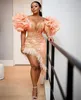 Aso Ebi Feather Feather Short Short Dresses Shown Sleeve Learder Women Women Modern Prom Party Dress Sexy Deep V-Tear Great