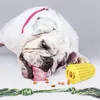 ألعاب الكلب مضغ لعبة Cor Cob مع حبل الكلب تنظيف المولي تنظيف منتجات أسنان تفاعلية للأسنان التفاعلية