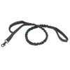 4 cores Nylon Pet Dog Leash Collares Coloque de estampa ajustável Treinamento de caminhada Treinamento de cães de gato cães colarinho cinta cinta yf0045