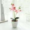 Couronnes de fleurs décoratives Phalaenopsis à cinq fleurs à deux volets Bonsaï Fabricant de fleurs artificielles Décoration de plantes de simulation