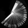مسامير زائفة 50pcs/مجموعة أدوات عرض تلميع الأظافر الممارسة الممارسة الشفافة اللون الطبيعي مانيكير ديي حلقة عينة