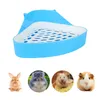 CAT RABBIT CORNERNING CLEANING EVILET PET PTTY RETTER PEE POE TRAY TRAY