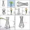 Nordic Style Air Plant Houder Metalen Bloem Potten Stand Geometrische Ijzer Tiltandsië Tafel Thuis Tuin Ornamenten C0125 Drop Levering 2021 Pot RAC