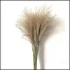 Decorative Flowers Wreaths Festive Party Supplies Home Garden 8Pcs/10Pcs/20 Pcs Real Dried Small Pampas Grass Wedding Flower Bunch Natural