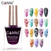 NXY Nail Gel Canni 18 Color Blooming Liquid Air Dry Art Design Supply Water Ink Smoke Effect Painting Polish 0328