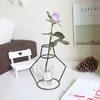 Kreatywny DIY Wazon Party Home Decoration Black Plant Puls Stand Holder Iron Wire Wazony kwiatów