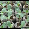 Planters Pots Garden Supplies Patio Lawn Home Drop Delivery 2021 30Mm Jiffy Peat Pellets Seedling Soil Block Rockwool Cubes Maker Startin