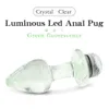 Crystal Anal Plug Plug Vibrador luminoso de vidro LED LED LIGH