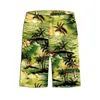 Men's Tracksuits Wholesale Price Design Romantic Sunset Eco-friendly Custom Green Coconut Beach Printed Hawaiian Shirt Shorts ManMen's