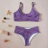 2022 New Nylon Gold and Silver Line Split Bikini High Waist Swimwear Women Purple Swimsuit Mujer Biquinis Feminino Thongs Y220420