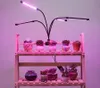 10W LED-Wachstumslicht USB Tragbare LED-Anlage DC5V Vollspektrum Dimmbar Clip-on Fitolampy Timer Phytolampe für Pflanzen Blumen Innenzelt Box Fitolamp