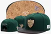 2022 nieuwe collectie HOT Cayler Sons rook snapback baseball caps katoen pet bone gorras hoeden voor mannen vrouwen HOT