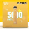 2022 QST Filex Max 5000 Puffs E cigarettes Pen 12ml Pods Device 1100mah Bar Flex Stiik Max Geek Disposable Vape Rechargeable Battery