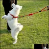 Arnés de mascotas de cuerda de tracción para perros para chaleco pequeño y grande de PL de PL de entrenamiento clásico de entrenamiento de la entrega de collar 2021 collares leas
