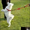 Dog Leash Rope Rope Tharness for Small and Barge Class القابلة للتعديل في سترة كلاسيكية التدريب الجري تسليم إسقاط تسليم 2021 الياقات Leas