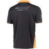 F1 yarış takım elbise erkek kısa kollu Formula 1 Takım T-Shirt yaka polo gömlek yaz resmi aynı stil