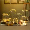 Klar glas Display Dome med LED Träbas Microlandscape Miniatyr Dollhouse DIY Hållare Blomma Bevarande Vase