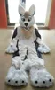 Husky Dog Fox Mascot Costume Długi futra futra dorośli rozmiar Bożego Narodzenia Karnawał przyjęcie urodzinowe strój na zewnątrz